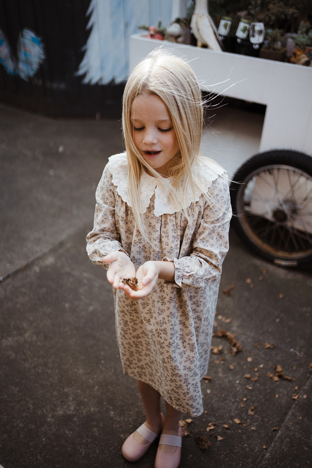 Girls Cotton Lace Collar Floral Long Sleeves Dress